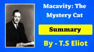 Read more about the article Macavity : The Mystery Cat Summary