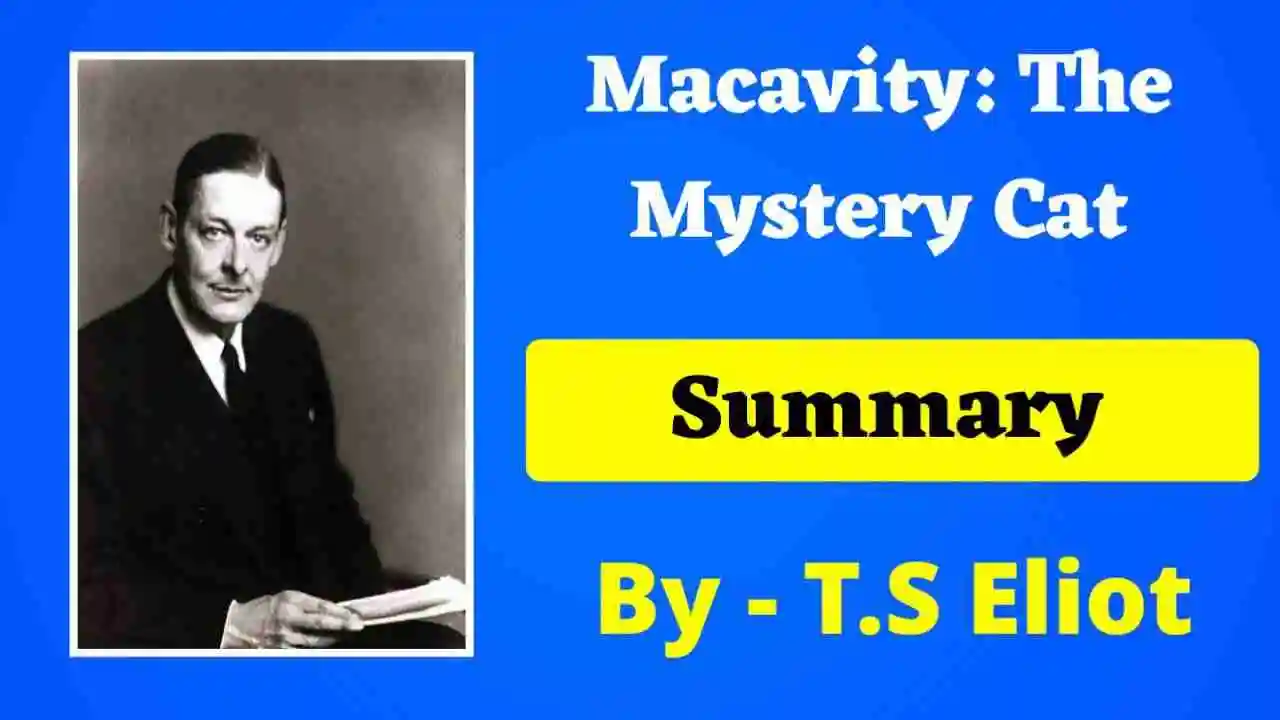 You are currently viewing Macavity : The Mystery Cat Summary