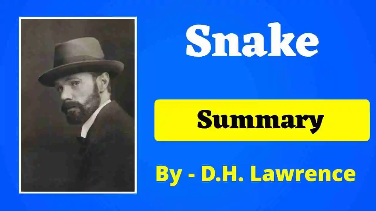 You are currently viewing Snake Summary