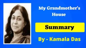 Read more about the article My Grandmother’s House Summary